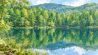 御射鹿池の水鏡から白駒の池の苔の森へ｜奥蓼科から北八ヶ岳をたどる旅