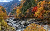 天川村の清流と巨岩が織りなす渓谷美｜みたらい渓谷（奈良県）の遊歩道を歩く