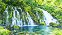 苔の岩肌から湧き出す元滝伏流水｜鳥海山の水と象潟をたどる1泊2日