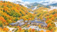 山頂の湿原からブナ林の湯へ｜八甲田ロープウェーと酸ヶ湯温泉